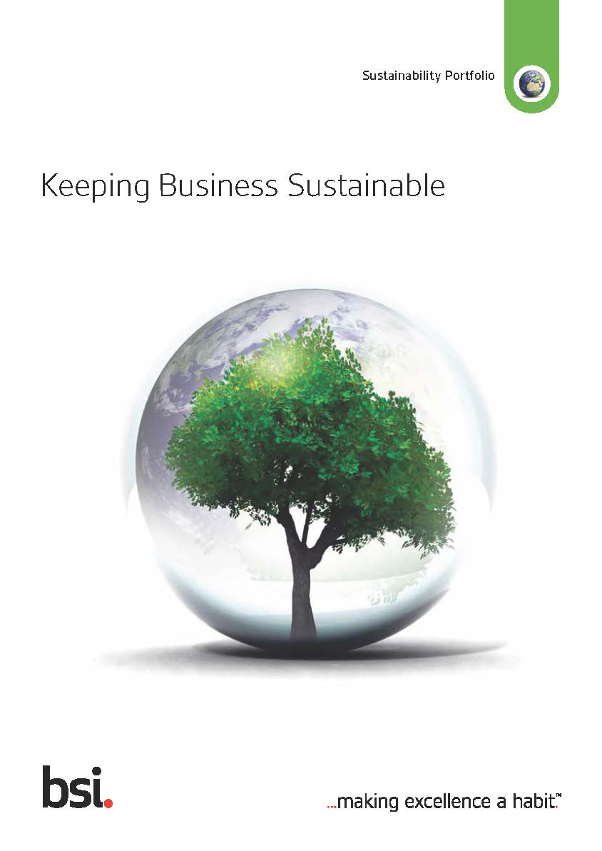 Sustainability Sector Flyer
