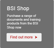 BSI_Shop_Panel