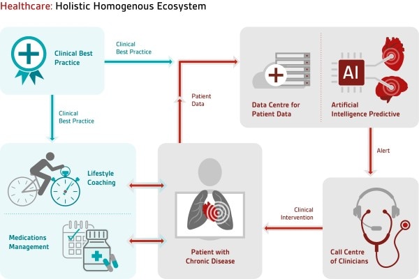Healthcare holistic homogenous ecosystem infographic, indicating the paths of clinical best practice.