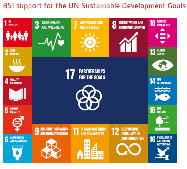 17 UN sustainable development goals