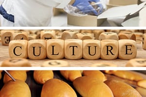 Food safety culture training course