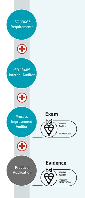ISO 13485 Internal Auditor Image