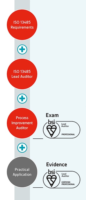 ISO 13485 Lead Auditor Image