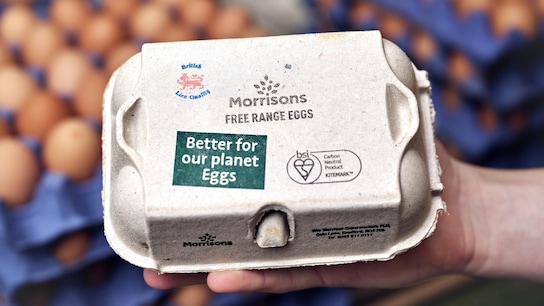 Close up of free range eggs in container