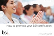 BSI Assurance Mark Guidelines