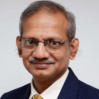 Dinesh V Mistry