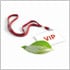 ISO 20121 Sustainable Events Management