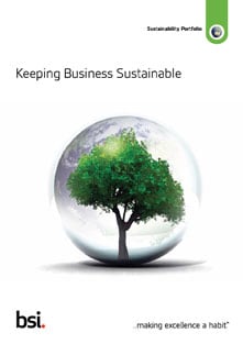 Sustainability Sector Flyer
