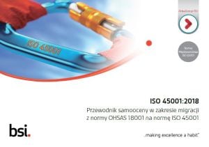 PL-BSI-ISO45001-Przewodnik-samooceny