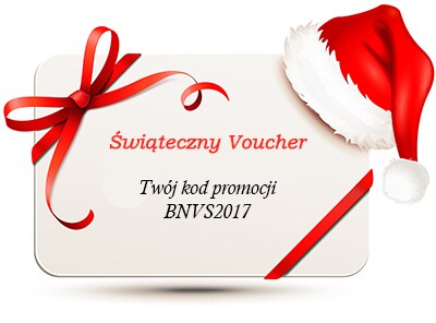 Voucher-BSI-Promocja-BNVS2017 Voucher-BSI-Promocja-BNVS2017