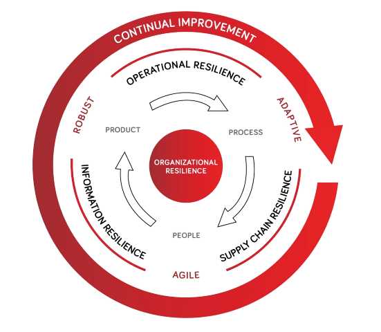 Estrategias de Resiliencia Organizativa