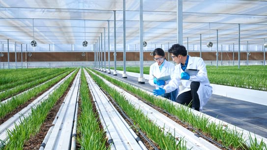 workers at the greenery