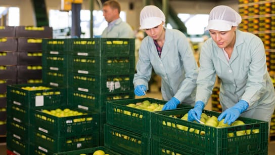 Dos mujeres revisando limones en cajas
