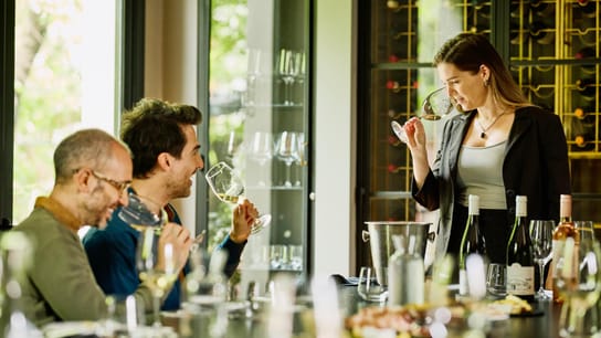 Medium wide shot of sommelier teaching and smelling wine bouquet during private wine tasting at elegant restaurant.