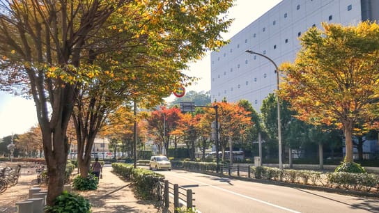 View of Yokohama street, Kanagawa Prefecture, Japan