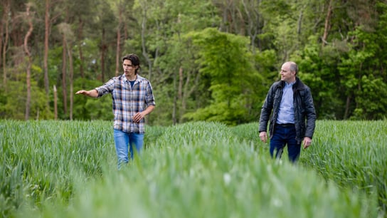 Dos hombres en un huerto orgánico