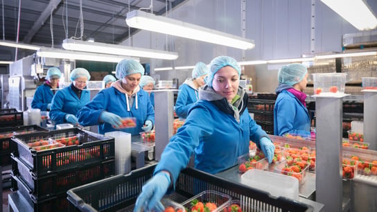 people working in production