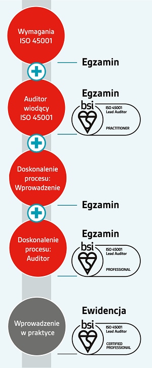 ISO 45001 Lead Auditor pathway