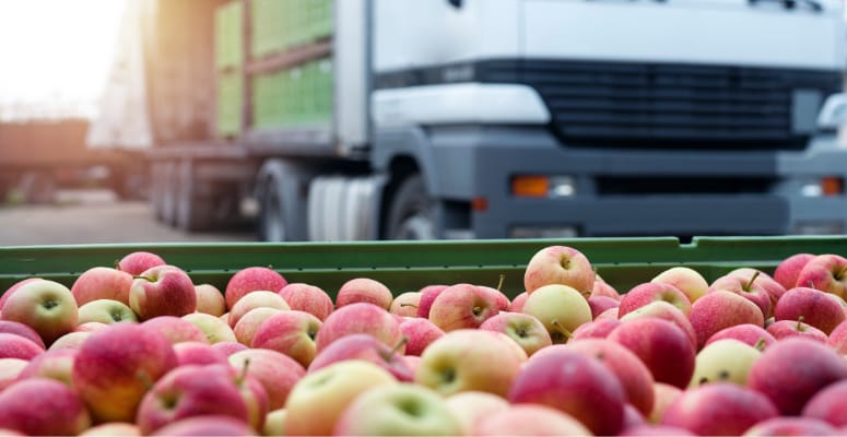 camion fruta