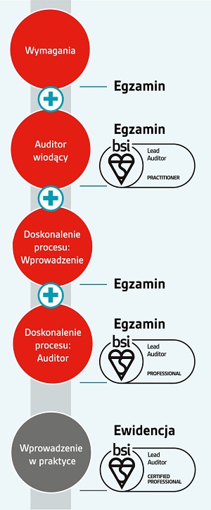 Lead auditor pathway