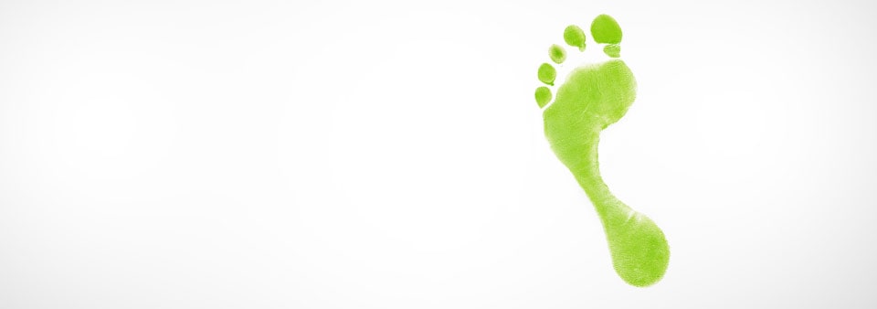 Green footprint on white background.