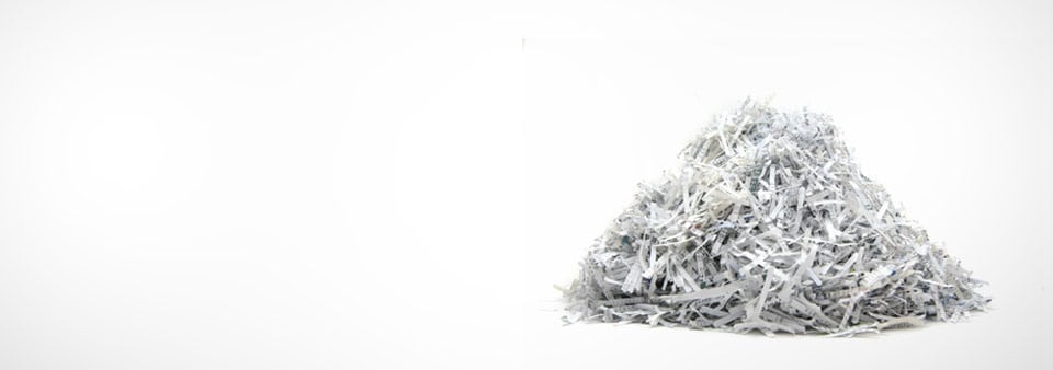 Pile of shredded paper on white background.