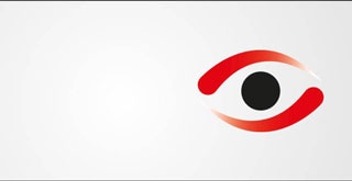 VerifEye logo