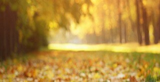 Fall banner