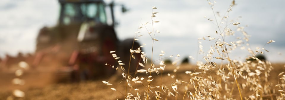 Food and agriculture - tractor on field