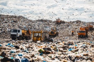 Sustainability in packaging: The customer’s always right