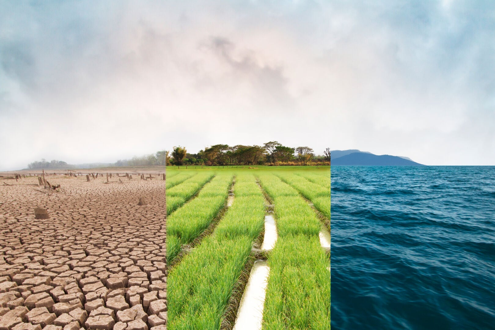 Your path to Net Zero: How to become Carbon Neutral Your path to Net Zero: How to become Carbon Neutral