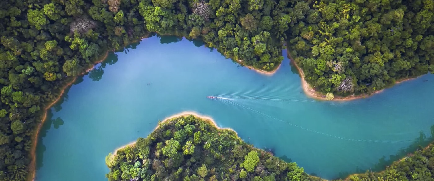 Ispirare fiducia per un mondo più resiliente