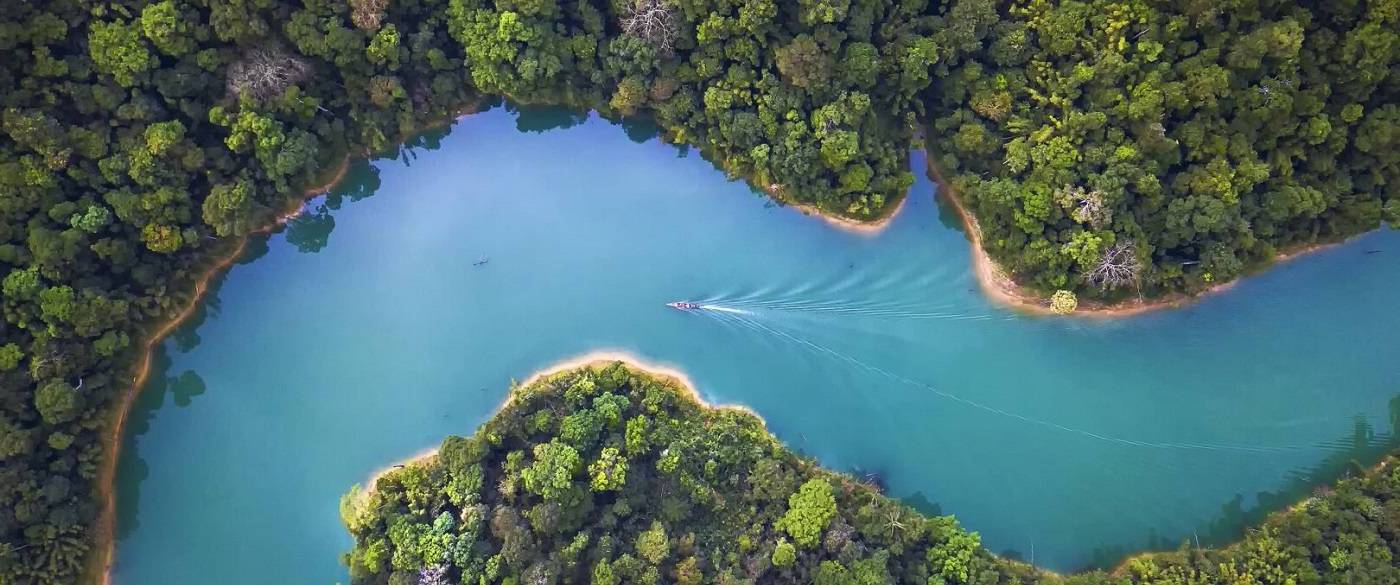 Inspiring trust for a more resilient world