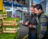 Two people checking information on electronic tablet whilst stood in front of pallets of fresh lettuce.