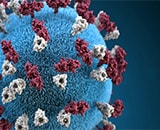 COVID-19 Virus 