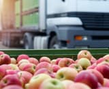 Crate of apples in front of lorry.