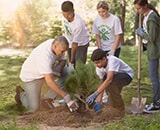 Group of people planting a tree