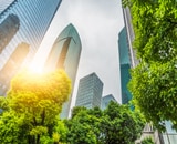 city skyscrapers with forest 