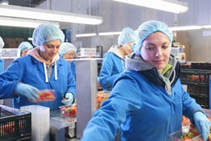 Food safety