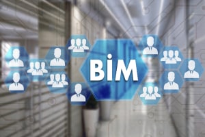 Building Information Modelling (BIM)