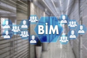 BIM