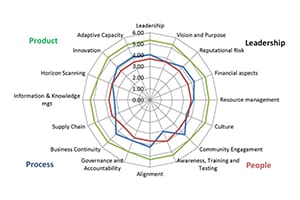 benchmark spider diagram organizational resilience