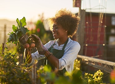 /globalassets/localfiles/375x275/female-outdoors-picking-vegetables-in-sunset-375x275.jpg