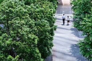 Le développement durable dans la santé