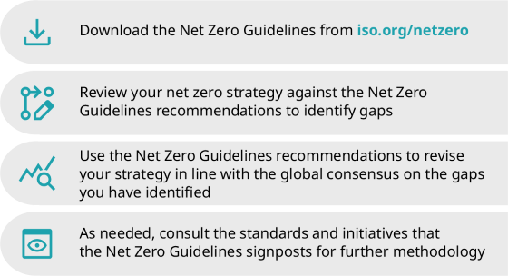 BSI Net Zero Guidelines
