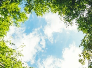Webinar: Ahorre costes de energía y salve el planeta