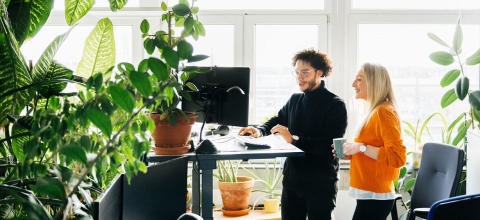 ISO Net Zero Guidelines ISO Net Zero Guidelines