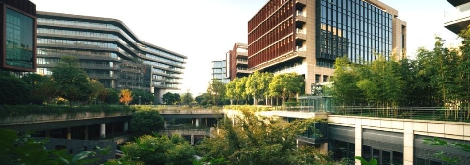 Office buildings with greenery