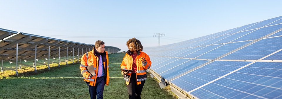 Neutralidade de Carbono PAS 2060