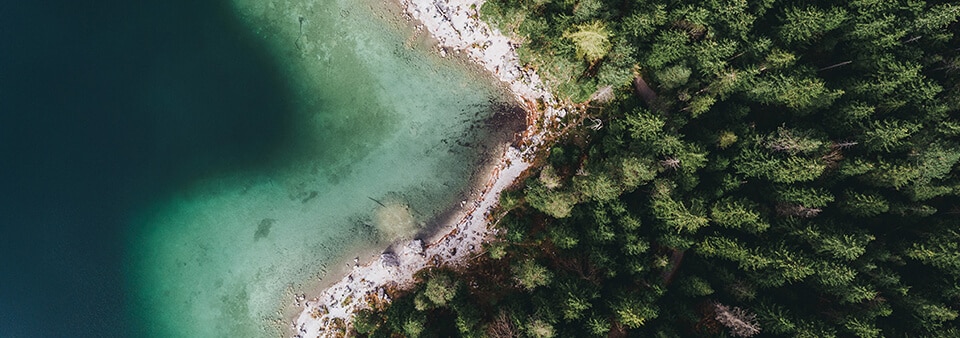 Serviços de certificação: promovendo suas credenciais de sustentabilidade